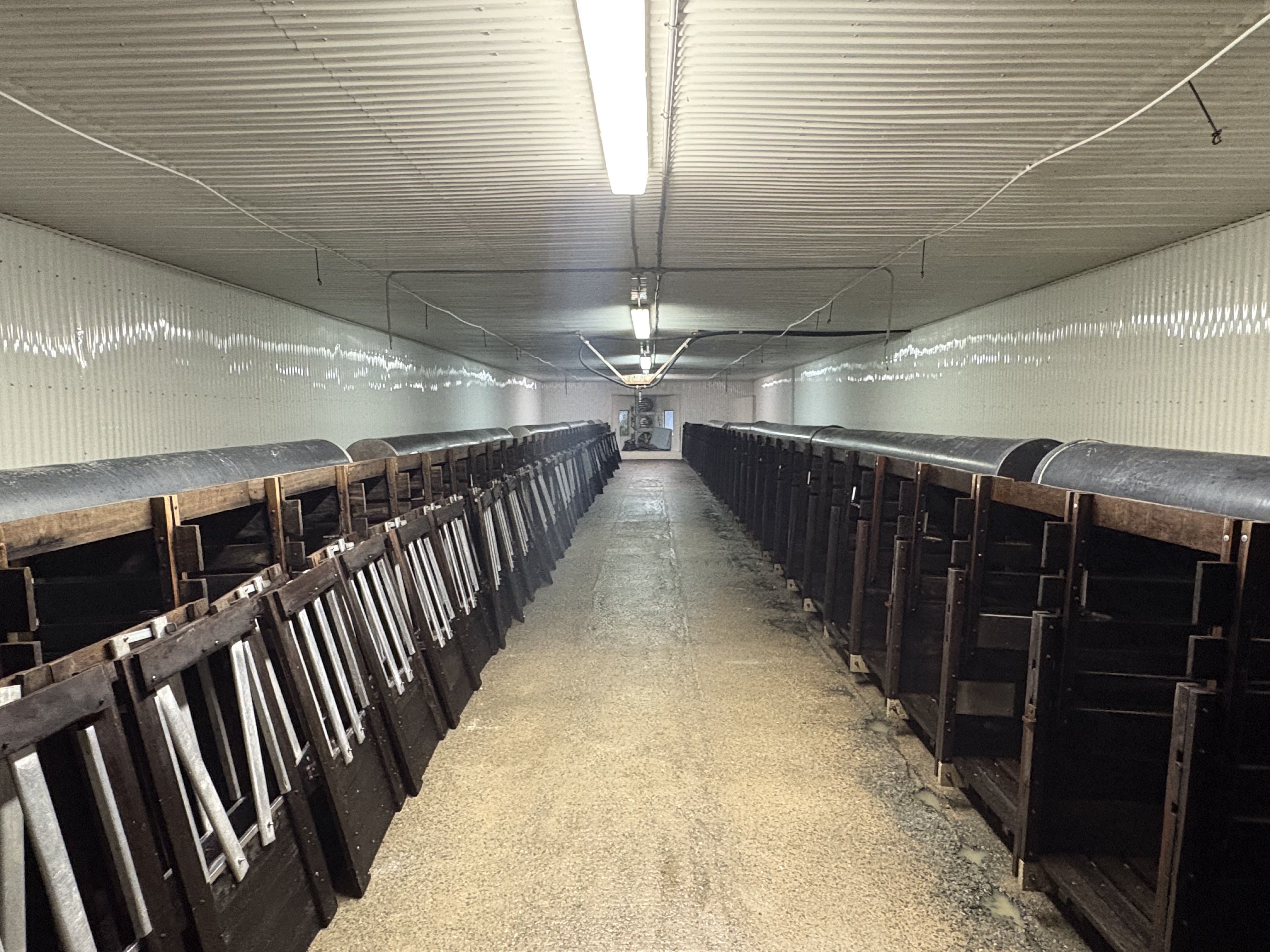 Nettoyage de bâtiment agricole après élevage