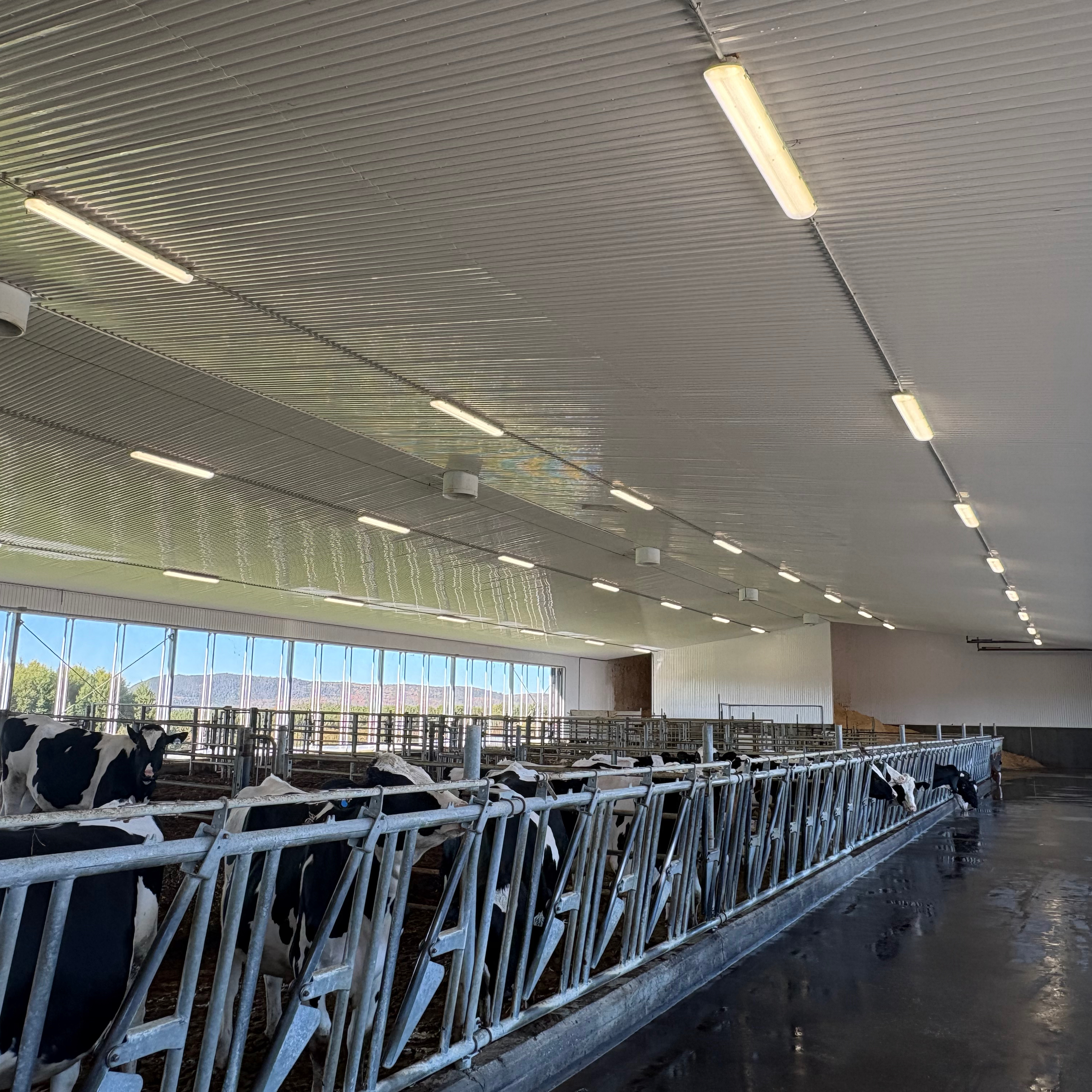 Nettoyage agricole à Témiscouata, Québec par MK Prestige — Ferme Tomiclerc