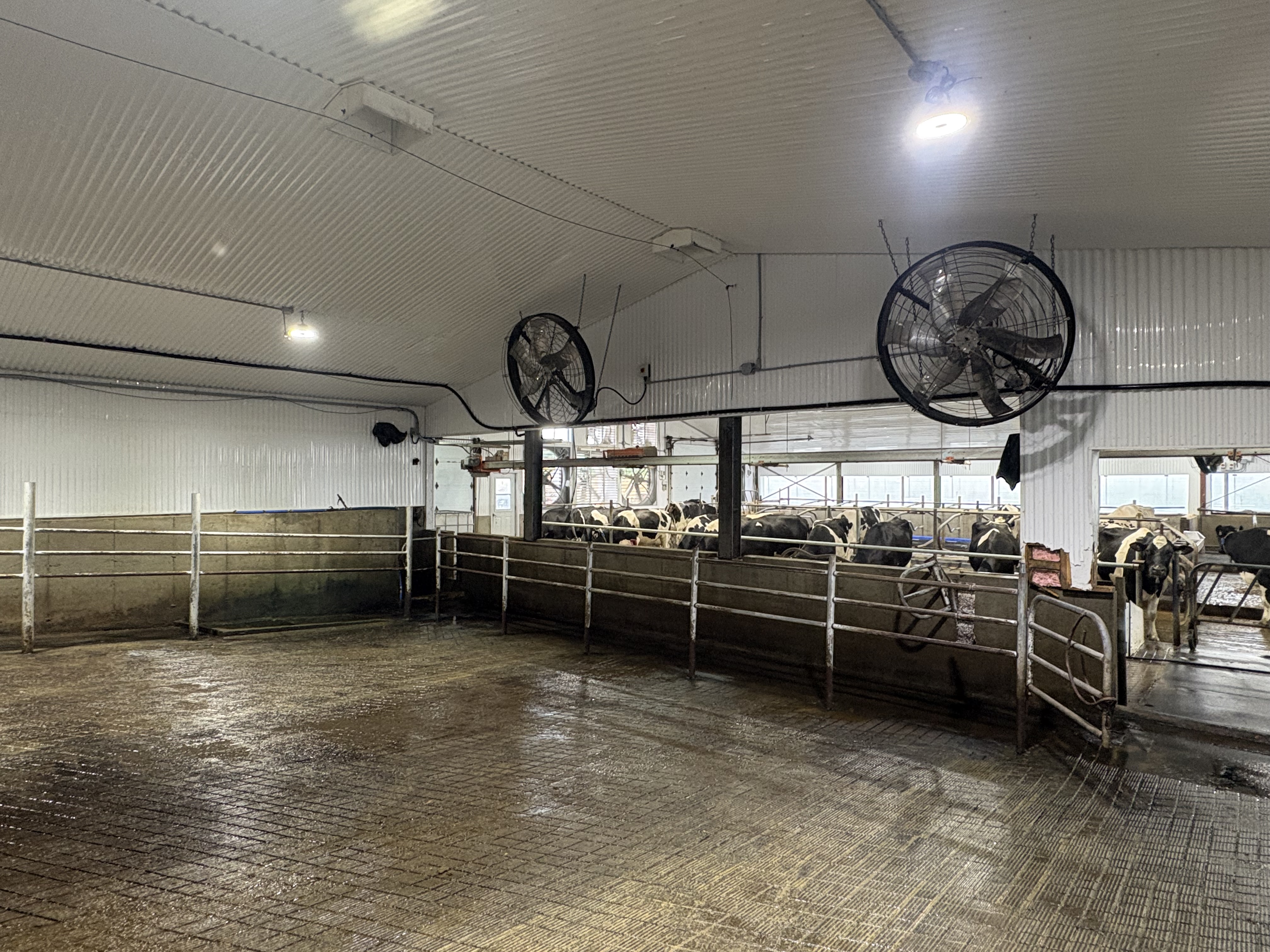 Nettoyage agricole à St-helene de kamouraska, Québec par MK Prestige — Ferme JS Lamonde