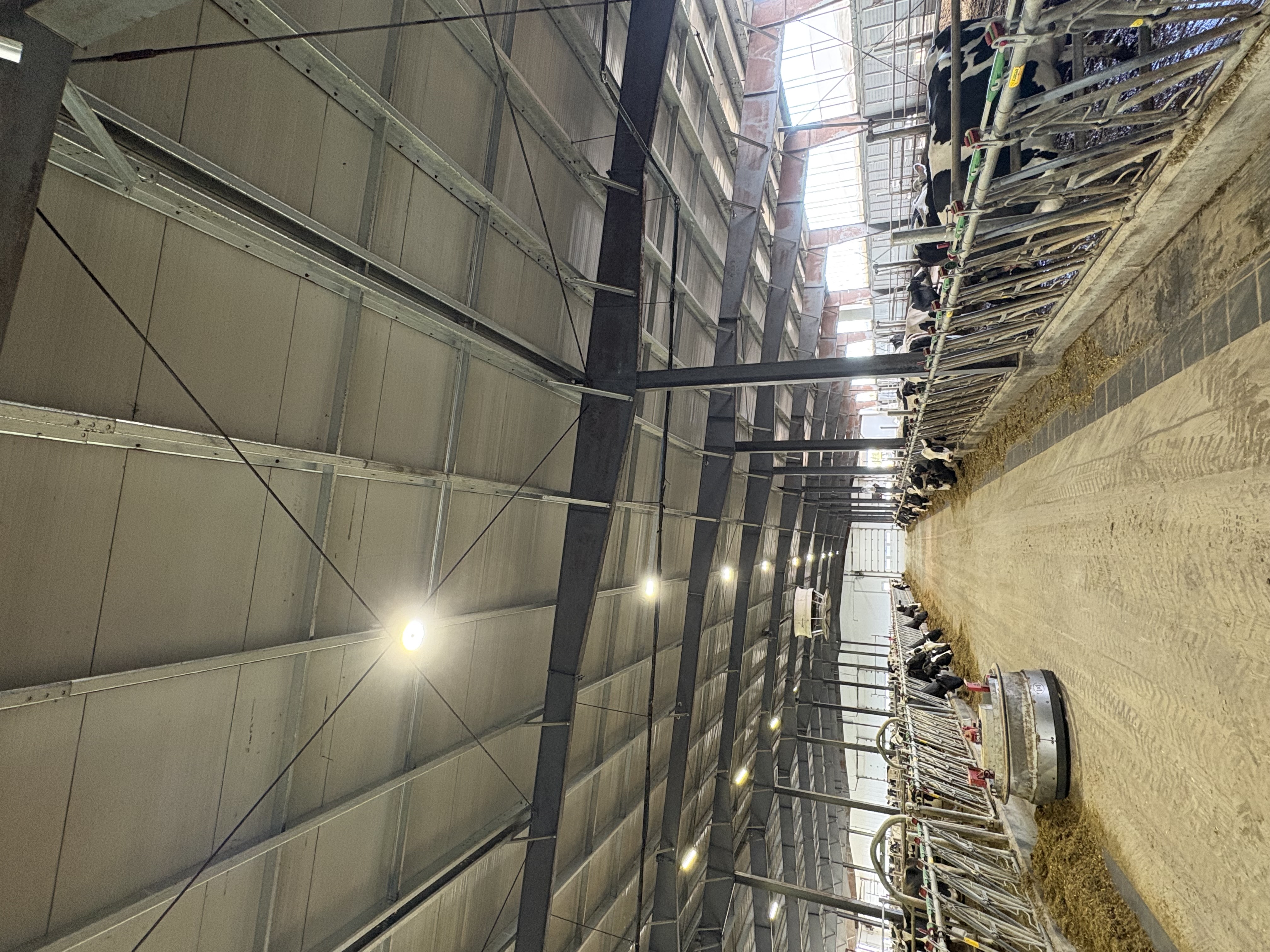 Nettoyage agricole à Saint-Alexandre, Québec par MK Prestige — Ferme du ptit 5